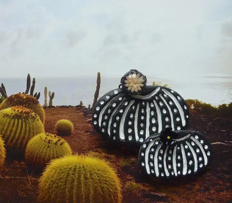 Broche piquants cactus boules en papier mâché teinté noir&blanc
